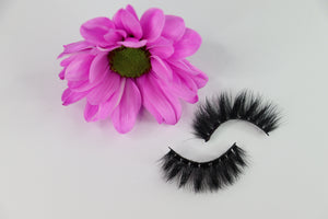 Bella Lashes