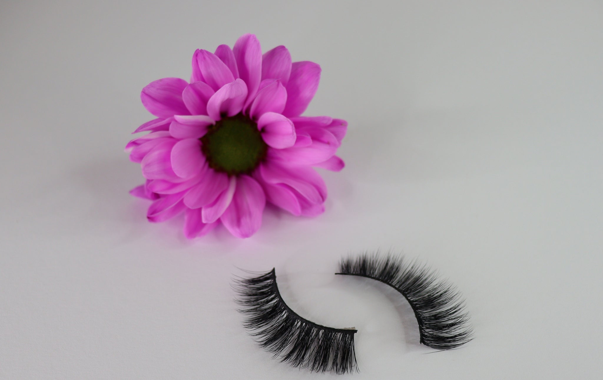 Modest Lashes